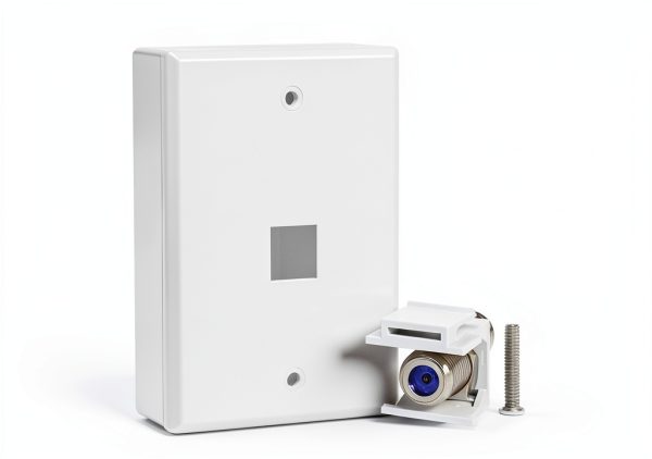 VCE Keystone Wall Plates White 10 Pack-1