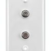 ICESPRING Dual F Coaxial Wall Plate ABS Durable-2