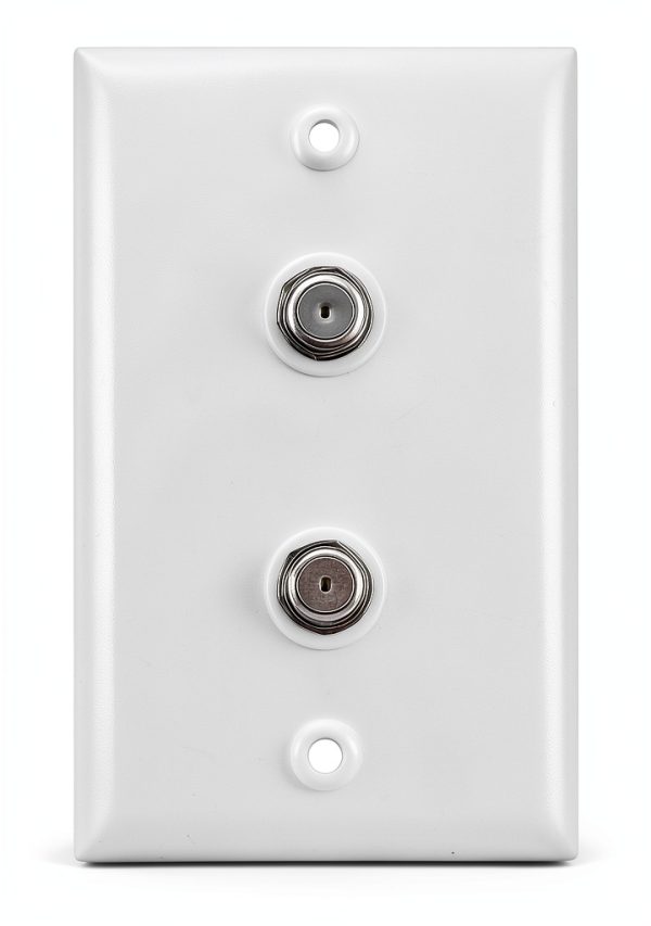 ICESPRING Dual F Coaxial Wall Plate ABS Durable-2