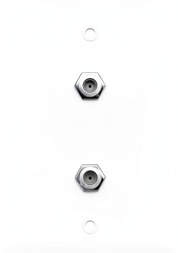 ICESPRING Dual F Coaxial Wall Plate ABS Durable-1