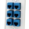 DIYTECH 6 Port Ethernet Wall Plate-1